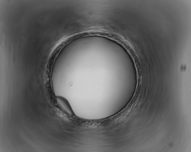 X0000100871400200806200851