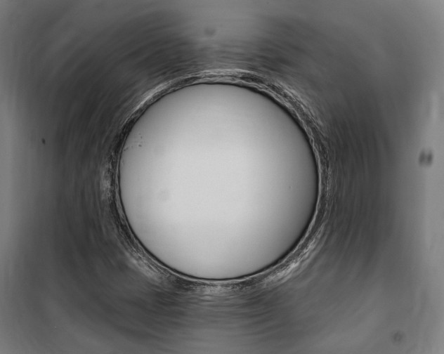 X0000100871401200806200851