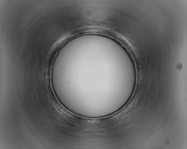 X0000100871403200806200851