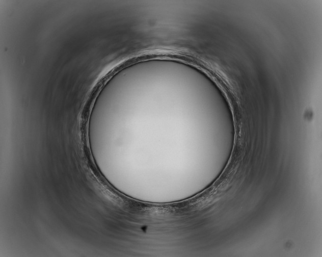 X0000100871404200806200851