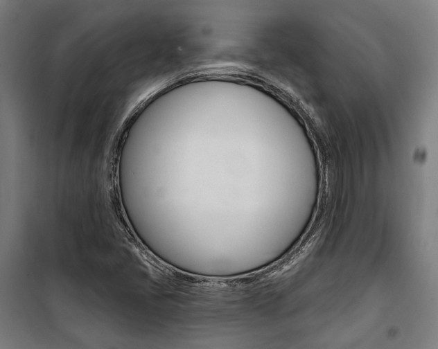 X0000100871405200806200851
