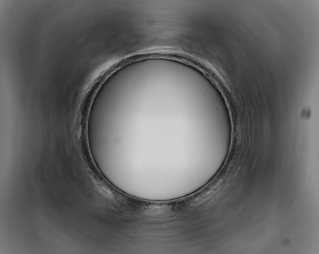 X0000100871406200806200852