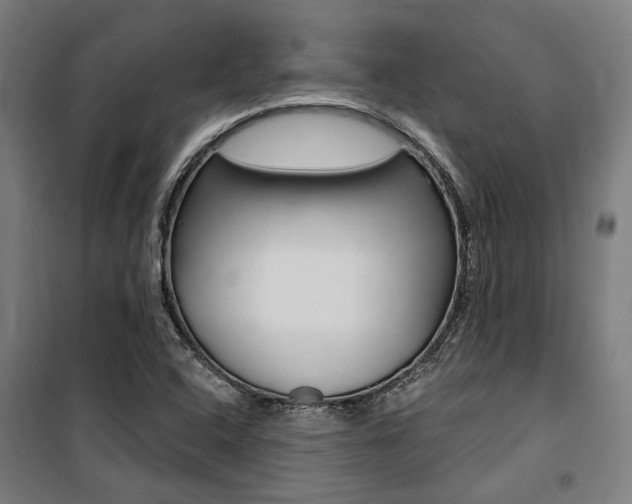 X0000100871408200806200852