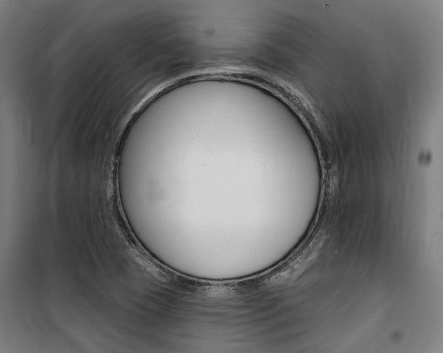 X0000100871409200806200852