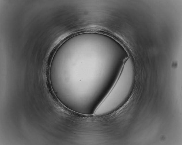 X0000100871410200806200852