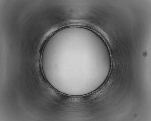 X0000100871411200806200852