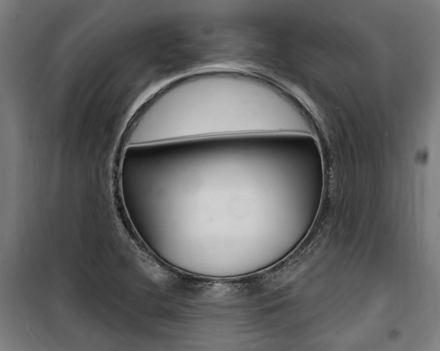 X0000100871412200806200852