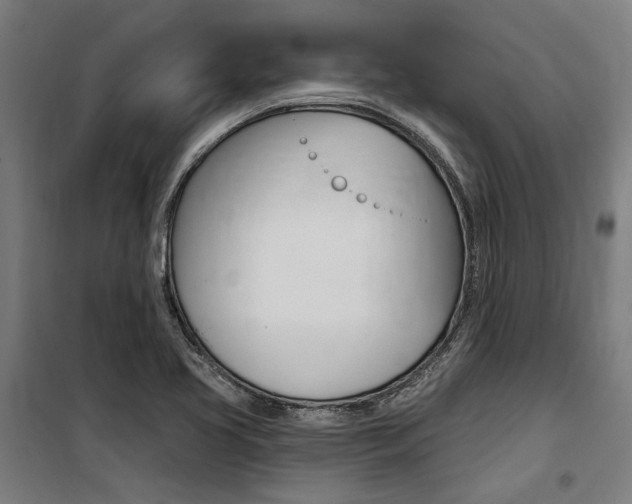 X0000100871413200806200852