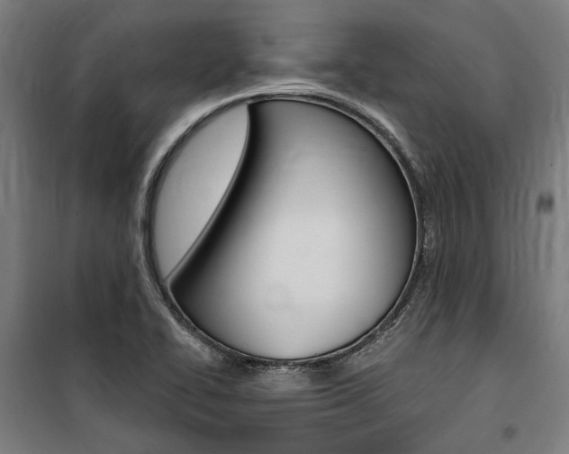 X0000100871414200806200852