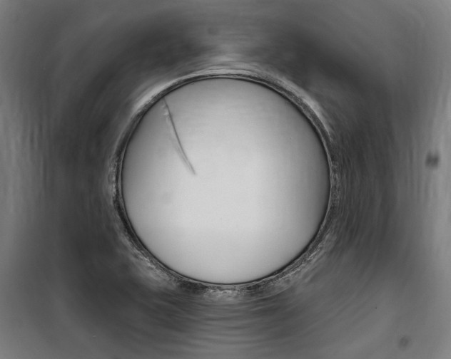 X0000100871415200806200852