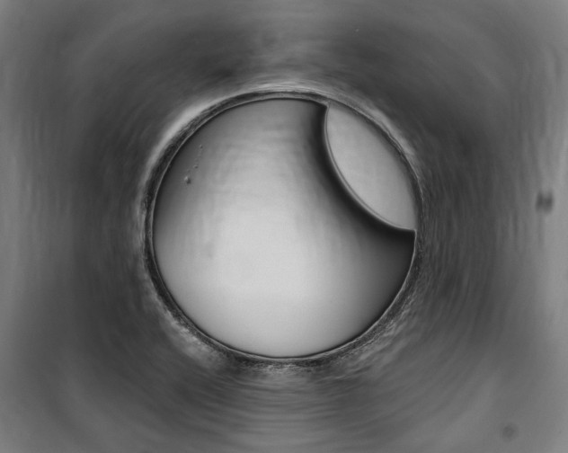 X0000100871416200806200852