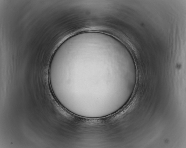 X0000100871417200806200852