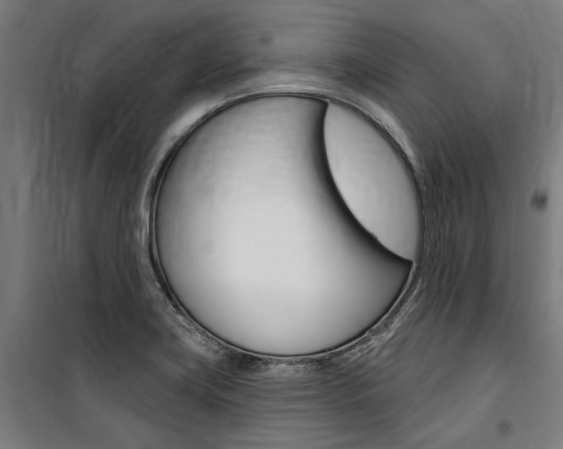 X0000100871419200806200852