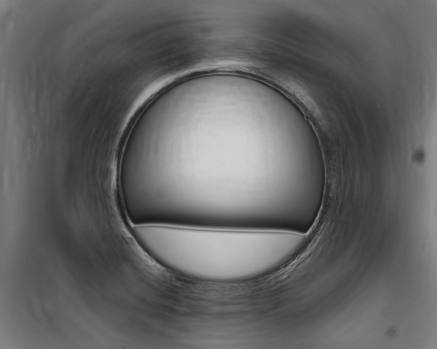 X0000100871420200806200852