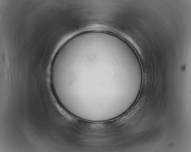 X0000100871421200806200852