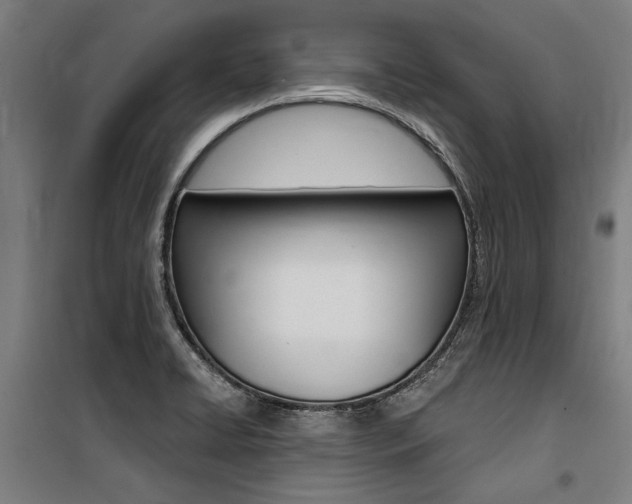 X0000100871422200806200852