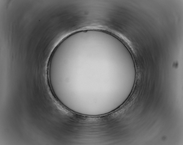 X0000100871423200806200852