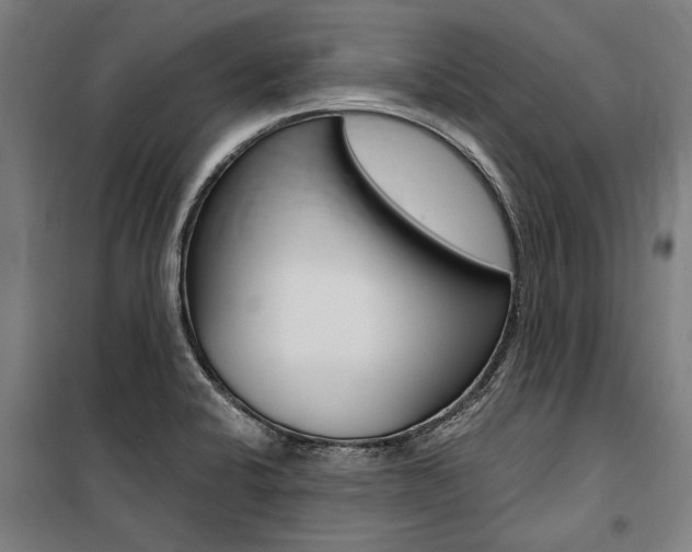 X0000100871424200806200852
