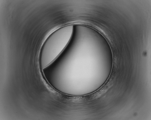 X0000100871426200806200852