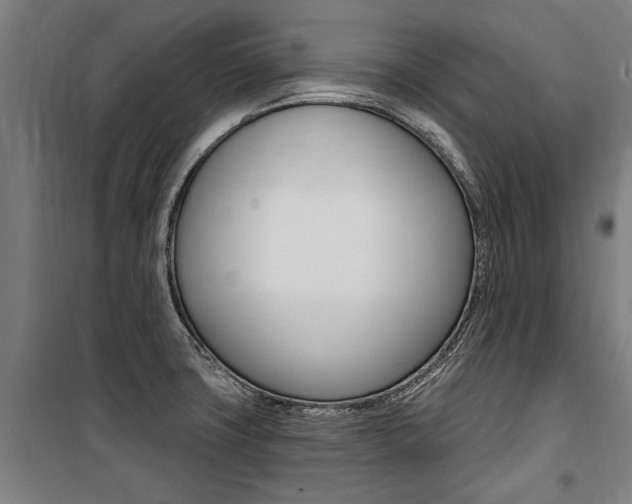 X0000100871427200806200852