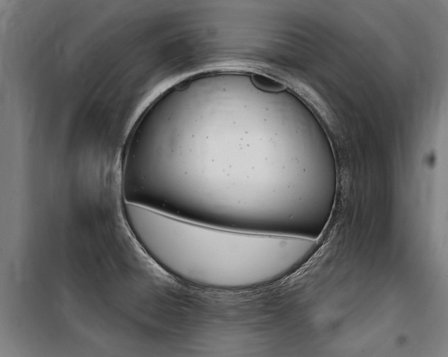 X0000100871428200806200852