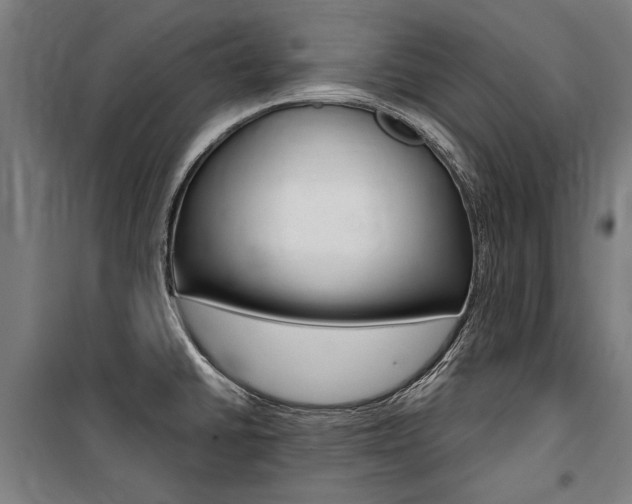X0000100871430200806200852