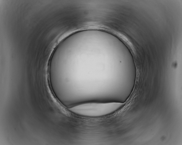 X0000100871431200806200852