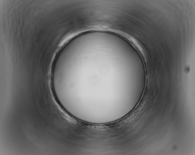 X0000100871432200806200852