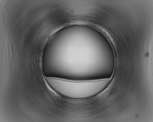 X0000100871433200806200852