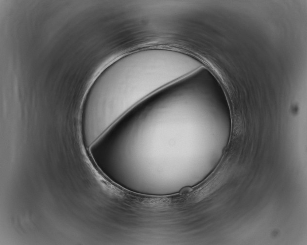 X0000100871434200806200852