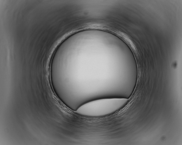 X0000100871435200806200852