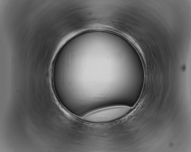 X0000100871437200806200852
