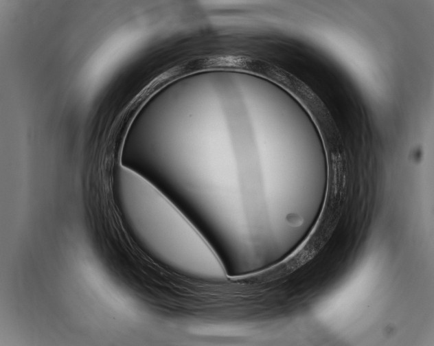 X0000100871438200806200852