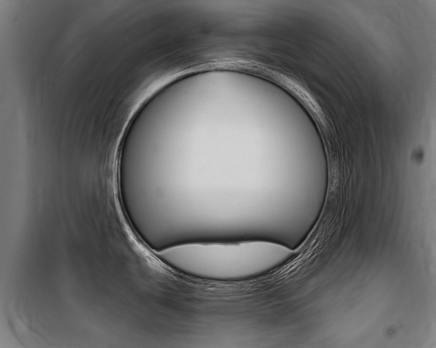 X0000100871439200806200852