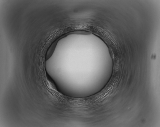 X0000100871441200806200851