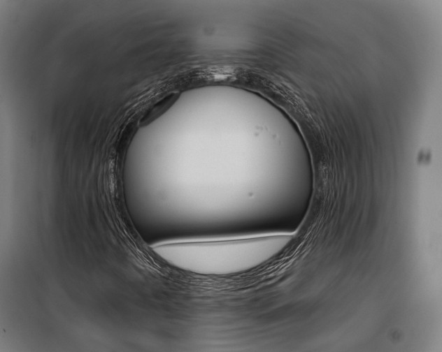 X0000100871442200806200851