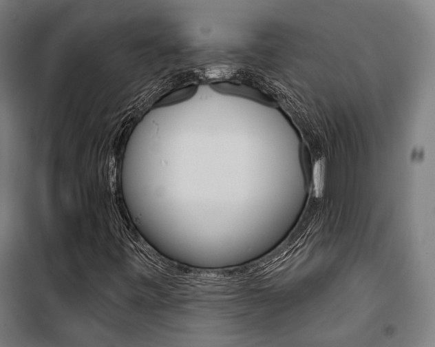 X0000100871443200806200851