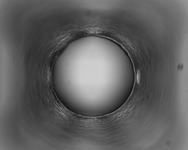 X0000100871444200806200851