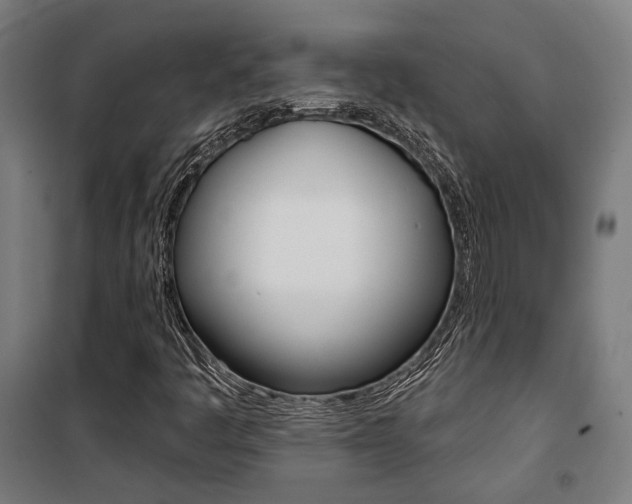 X0000100871445200806200851