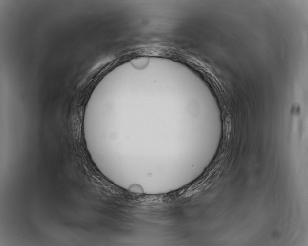 X0000100871446200806200851