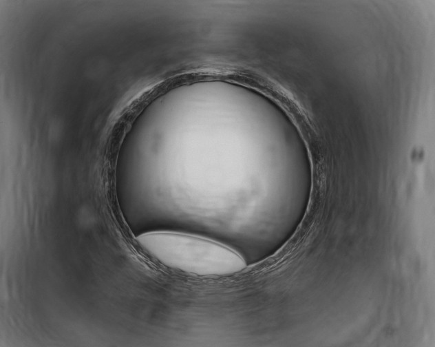 X0000100871448200806200851