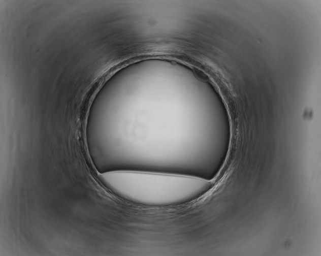 X0000100871449200806200851