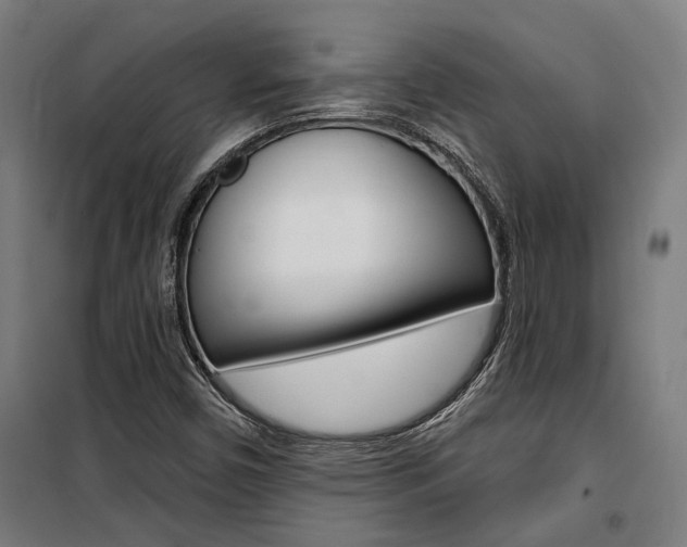 X0000100871450200806200851