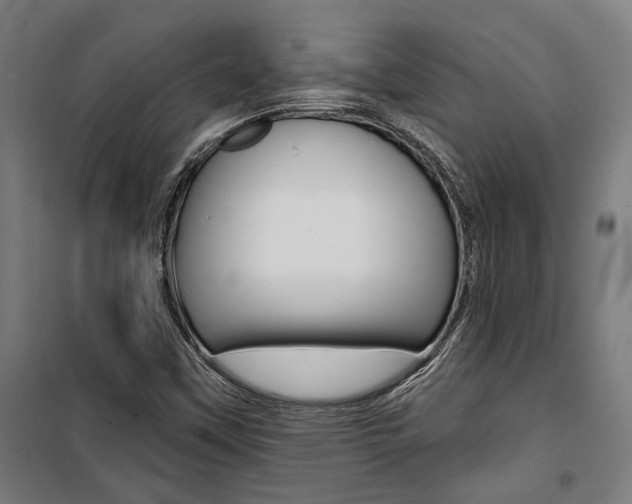 X0000100871451200806200851