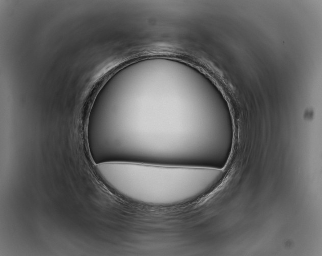 X0000100871453200806200851