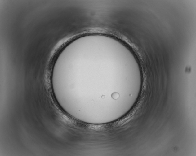 X0000100871454200806200851