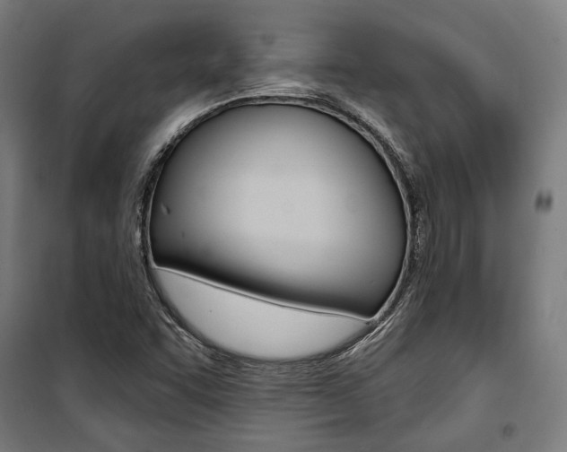 X0000100871455200806200851