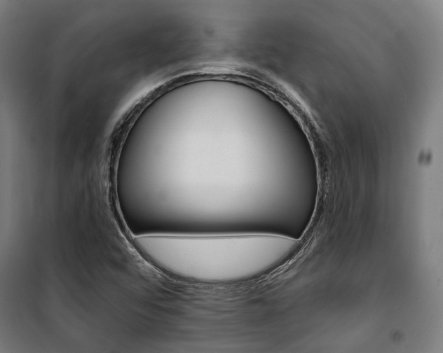 X0000100871456200806200851