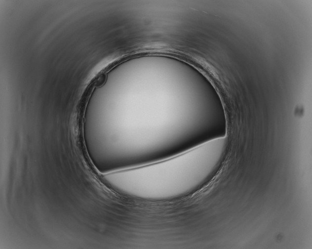 X0000100871458200806200851
