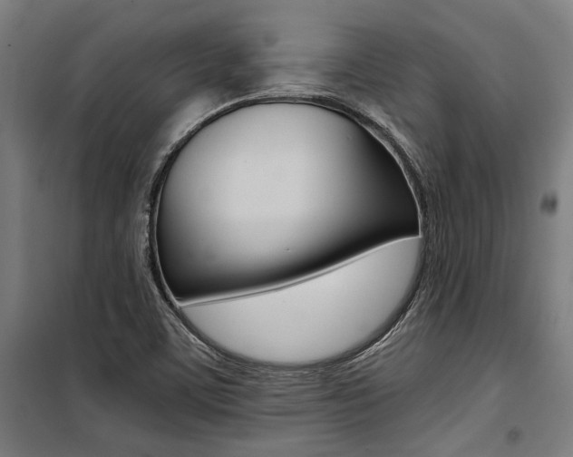 X0000100871459200806200851